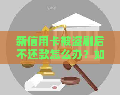 新信用卡被盗刷后不还款怎么办？如何保护个人信息和追讨损失？