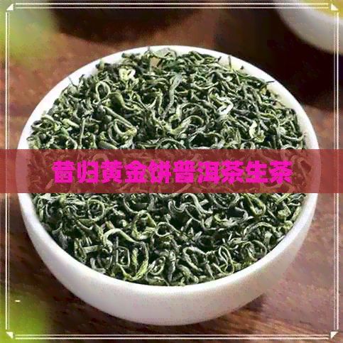 昔归黄金饼普洱茶生茶