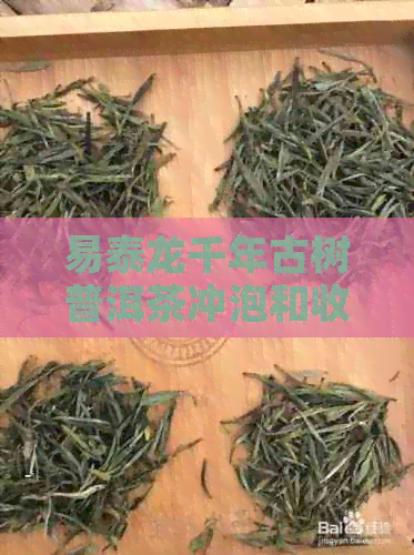 易泰龙千年古树普洱茶冲泡和收藏方法，了解这款茶的原料和价值。