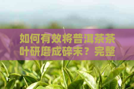 如何有效将普洱茶茶叶研磨成碎末？完整指南解答您的疑问！