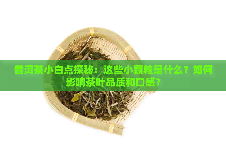 普洱茶小白点探秘：这些小颗粒是什么？如何影响茶叶品质和口感？