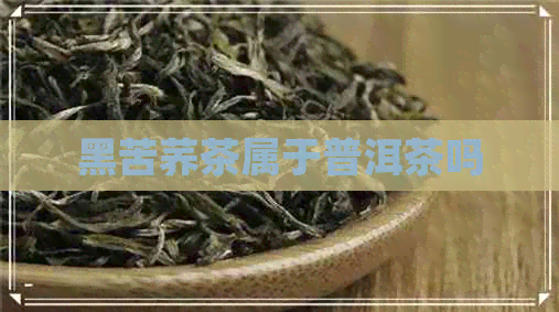 黑苦荞茶属于普洱茶吗