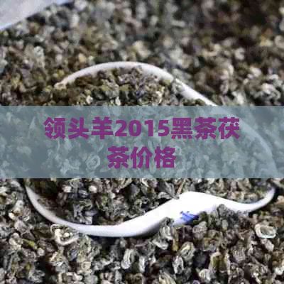 领头羊2015黑茶茯茶价格