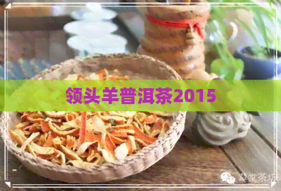 领头羊普洱茶2015