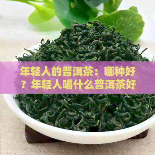 年轻人的普洱茶：哪种好？年轻人喝什么普洱茶好？