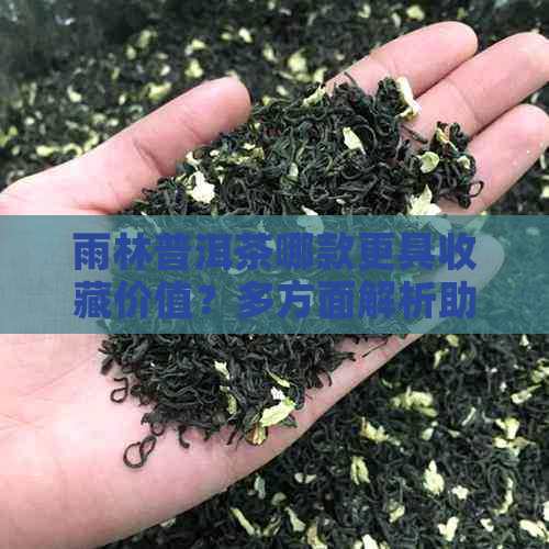 雨林普洱茶哪款更具收藏价值？多方面解析助你挑选到理想的茶品