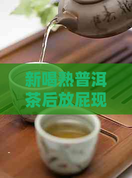 新喝熟普洱茶后放屁现象的原因及解决方法全面解析