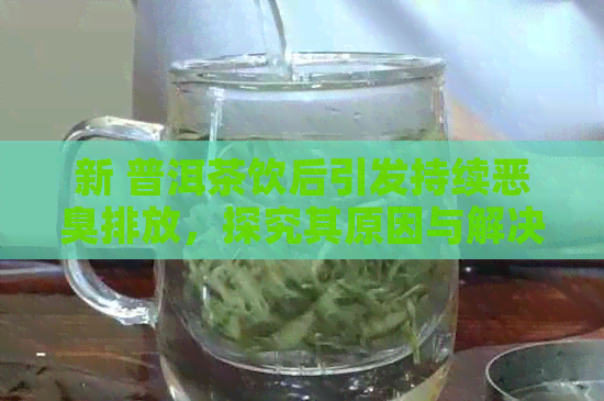 新 普洱茶饮后引发持续恶臭排放，探究其原因与解决策略