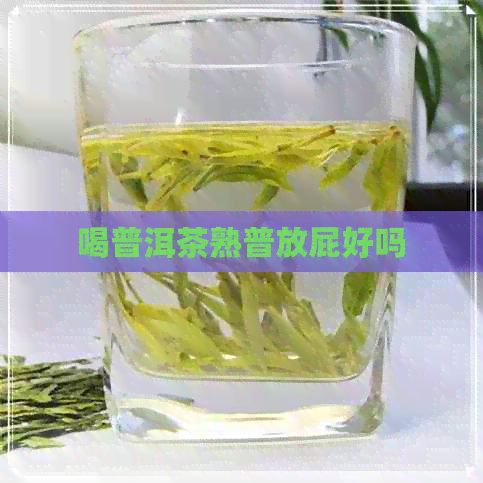 喝普洱茶熟普放屁好吗