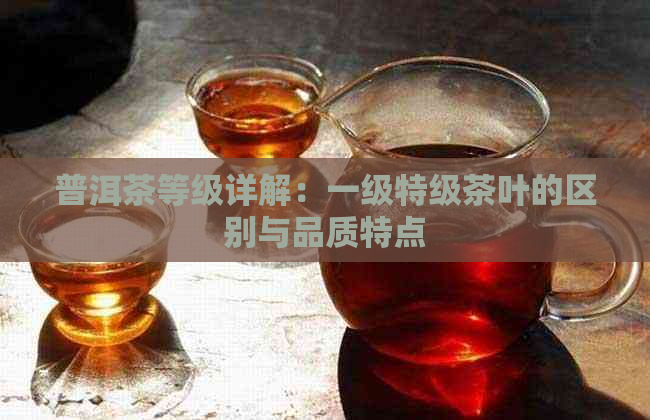 普洱茶等级详解：一级特级茶叶的区别与品质特点