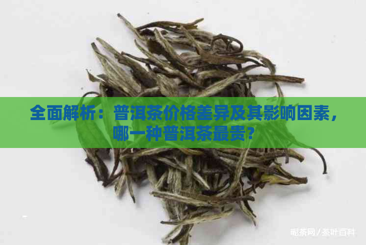 全面解析：普洱茶价格差异及其影响因素，哪一种普洱茶最贵？