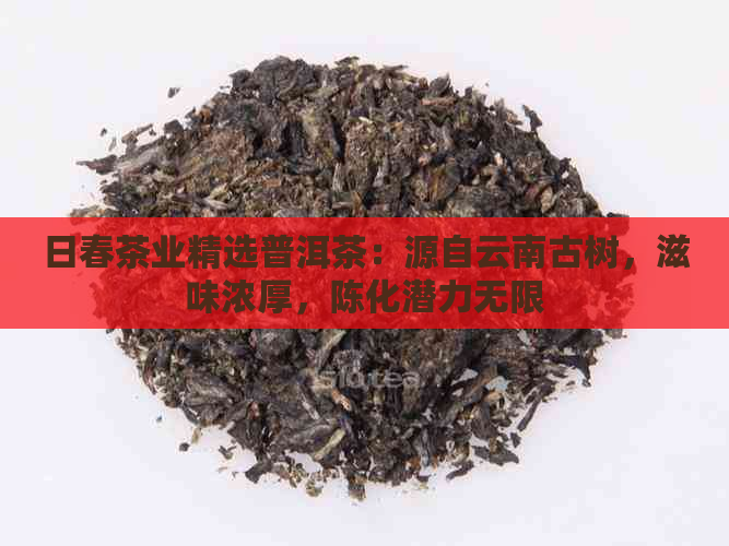 日春茶业精选普洱茶：源自云南古树，滋味浓厚，陈化潜力无限