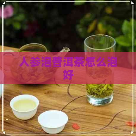 人参泡普洱茶怎么泡好