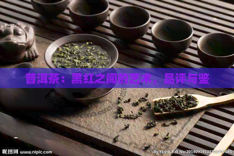 普洱茶：黑红之间的艺术，品评与鉴