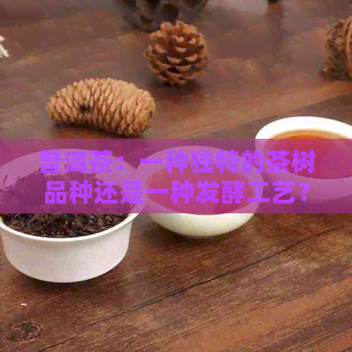 普洱茶：一种独特的茶树品种还是一种发酵工艺？揭秘普洱茶的真实身份