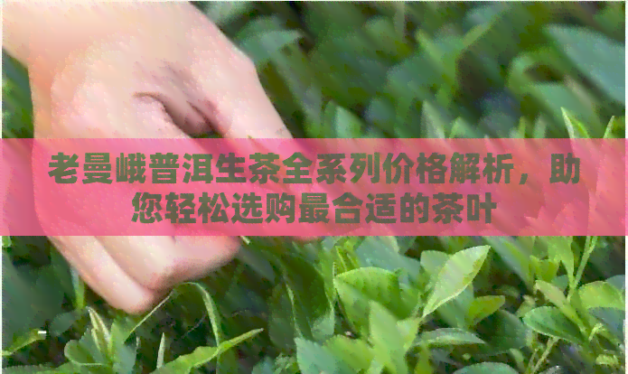 老曼峨普洱生茶全系列价格解析，助您轻松选购最合适的茶叶