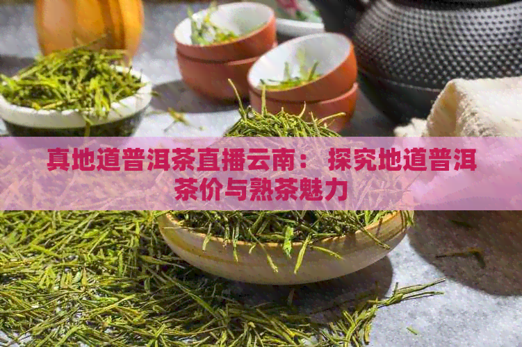 真地道普洱茶直播云南： 探究地道普洱茶价与熟茶魅力