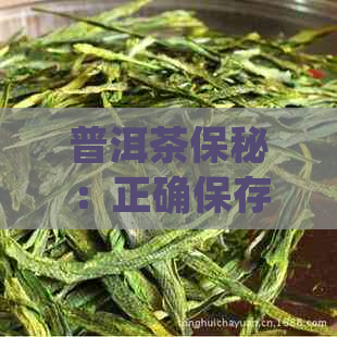 普洱茶保秘：正确保存方法与技巧，让你品尝口感