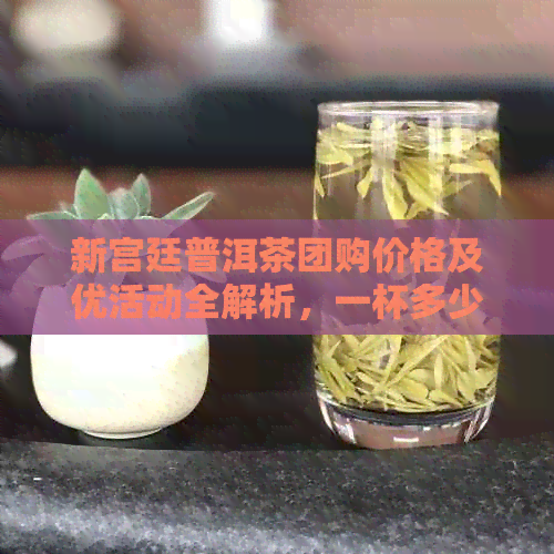 新宫廷普洱茶团购价格及优活动全解析，一杯多少钱？