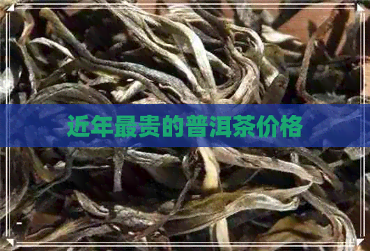 近年最贵的普洱茶价格