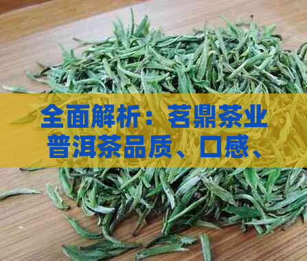 全面解析：茗鼎茶业普洱茶品质、口感、价格及冲泡方法，解答你的所有疑问