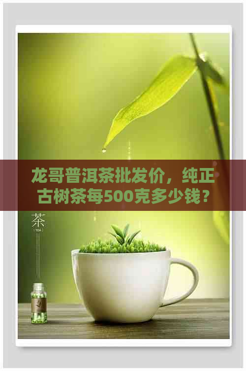 龙哥普洱茶批发价，纯正古树茶每500克多少钱？