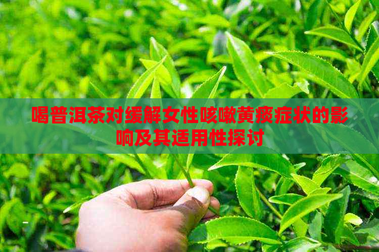 喝普洱茶对缓解女性咳嗽黄痰症状的影响及其适用性探讨