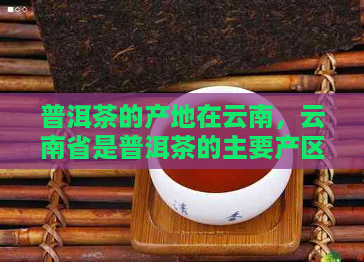 普洱茶的产地在云南，云南省是普洱茶的主要产区。