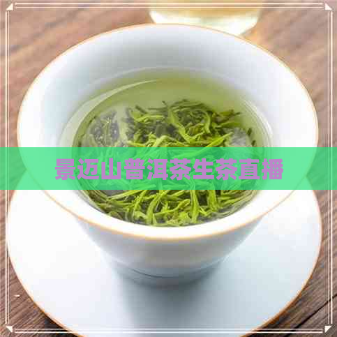 景迈山普洱茶生茶直播