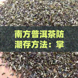 南方普洱茶防潮存方法：掌握这些技巧，让茶叶保持新与香气