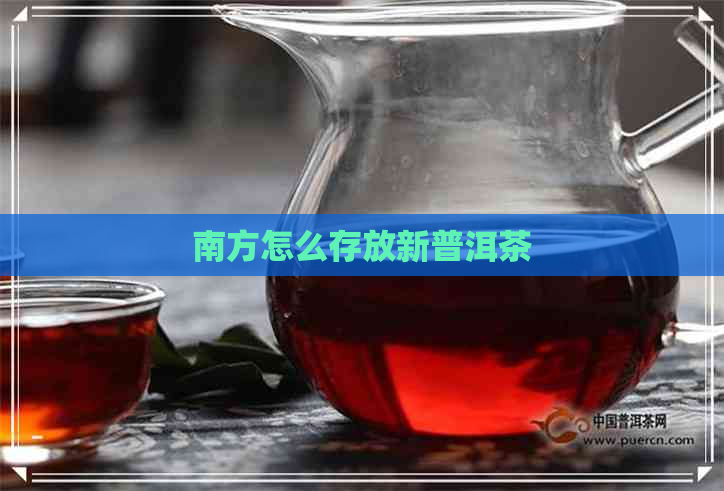 南方怎么存放新普洱茶