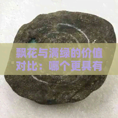 飘花与满绿的价值对比：哪个更具有投资吸引力？