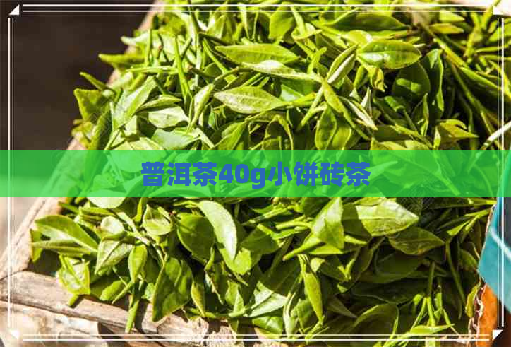 普洱茶40g小饼砖茶