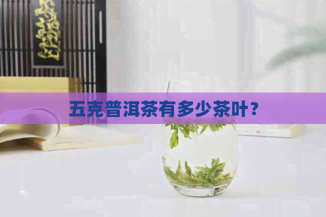 五克普洱茶有多少茶叶？