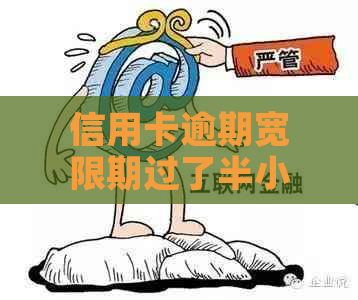 信用卡逾期宽限期过了半小时怎么办？完整解决方案和应对策略