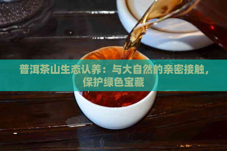 普洱茶山生态认养：与大自然的亲密接触，保护绿色宝藏