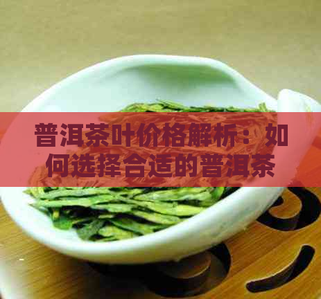 普洱茶叶价格解析：如何选择合适的普洱茶品及其市场行情全面了解