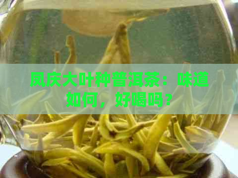 凤庆大叶种普洱茶：味道如何，好喝吗？