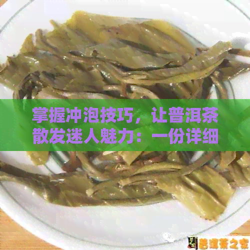 掌握冲泡技巧，让普洱茶散发迷人魅力：一份详细的冲生普洱茶指南