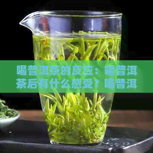 喝普洱茶的反应：喝普洱茶后有什么感受？喝普洱茶的大体反应是什么？