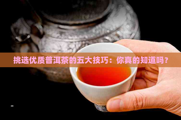 挑选优质普洱茶的五大技巧：你真的知道吗？