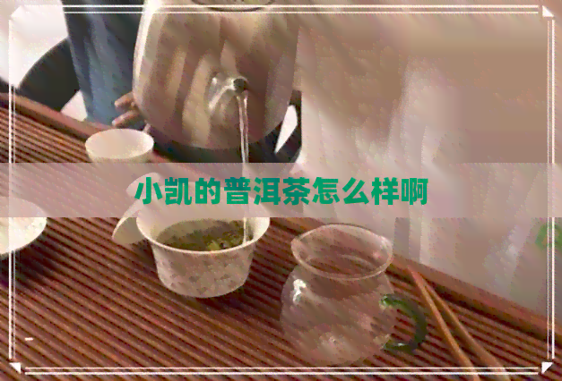 小凯的普洱茶怎么样啊