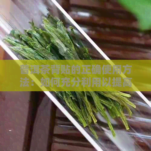 普洱茶背贴的正确使用方法：如何充分利用以提高效果