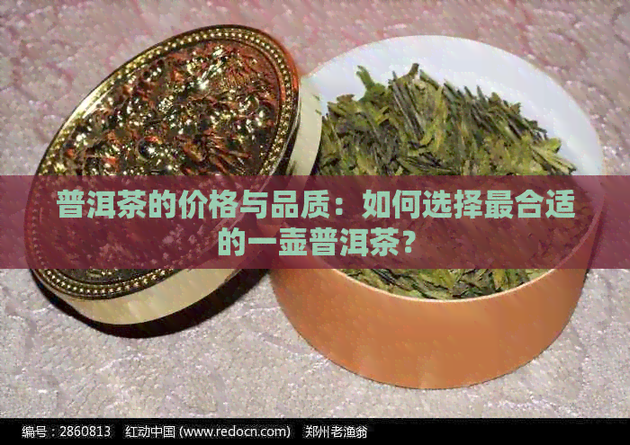 普洱茶的价格与品质：如何选择最合适的一壶普洱茶？