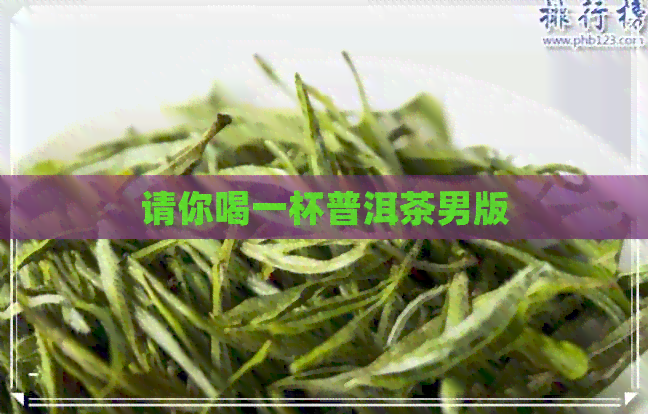 请你喝一杯普洱茶男版