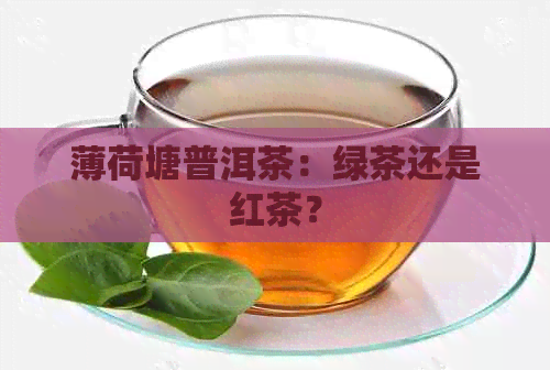 薄荷塘普洱茶：绿茶还是红茶？