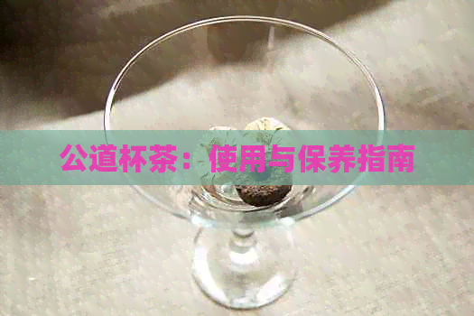 公道杯茶：使用与保养指南