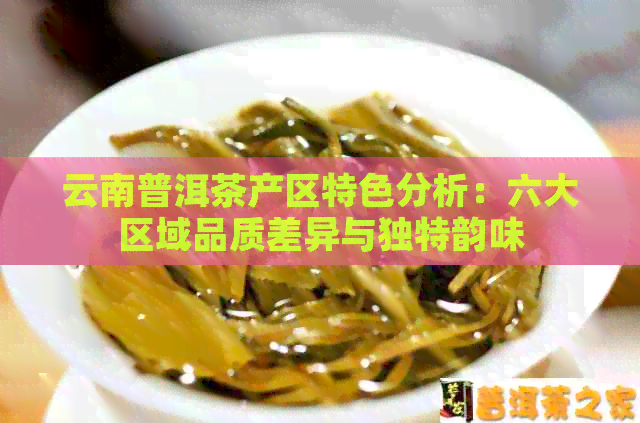 云南普洱茶产区特色分析：六大区域品质差异与独特韵味