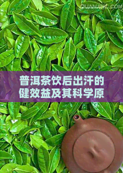 普洱茶饮后出汗的健效益及其科学原理