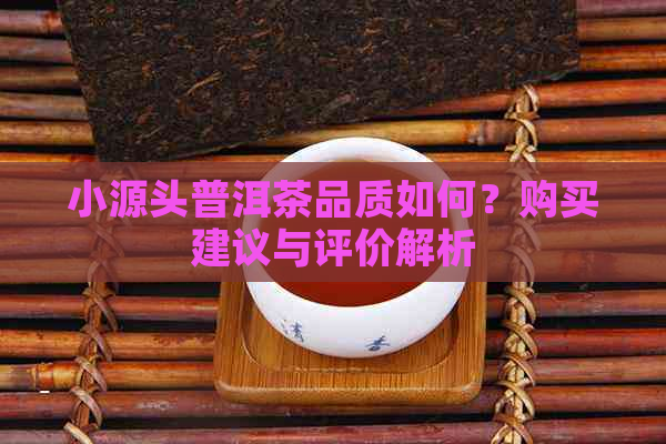 小源头普洱茶品质如何？购买建议与评价解析